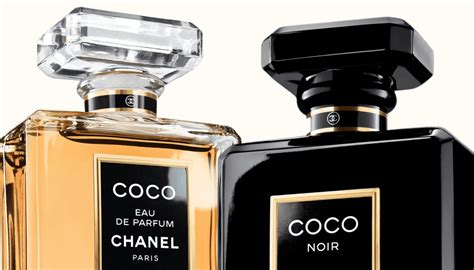 chanel coco noir extract|coco chanel noir perfume price.